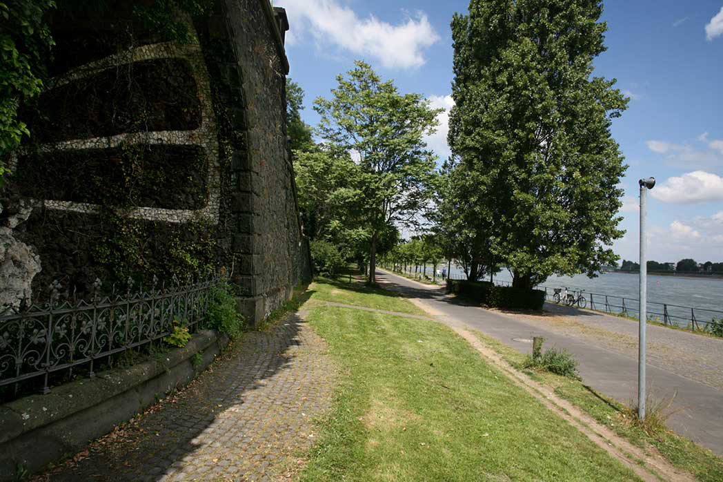 “nah∼fern shown on the occasion of bonn hoeren